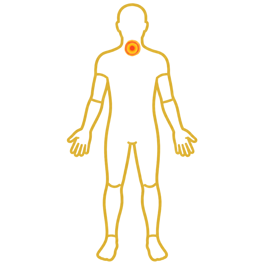 Neck Pain anatomical illustration