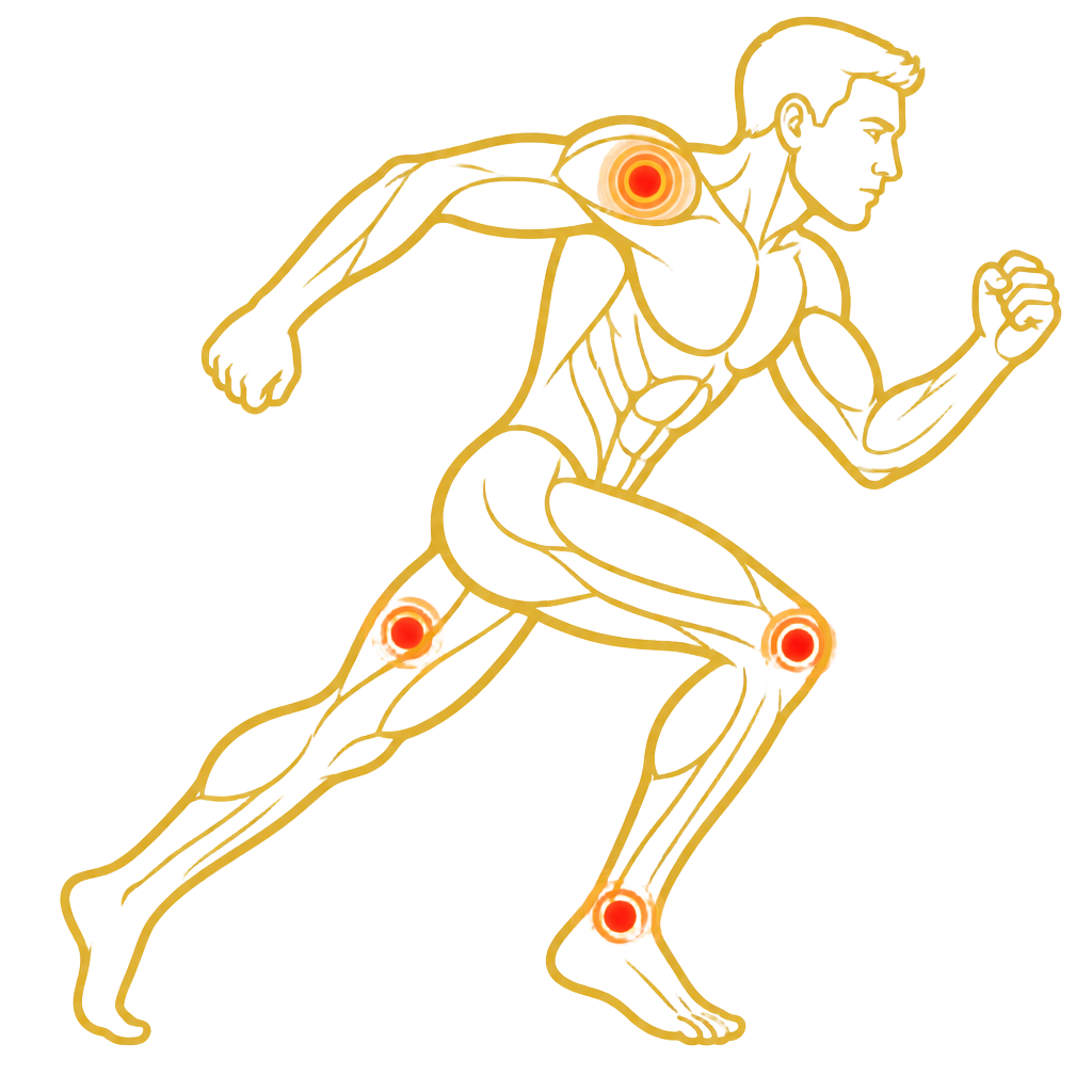 Sports-Related Injuries anatomical illustration